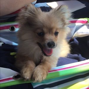 Meet your Posher, Jia